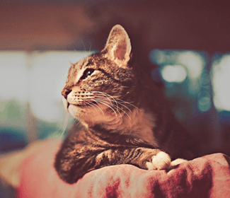 學習CAD！每天五個小技巧！這個系列趕快收藏！