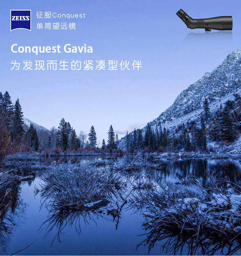 gavia1.jpg gavia1.jpg